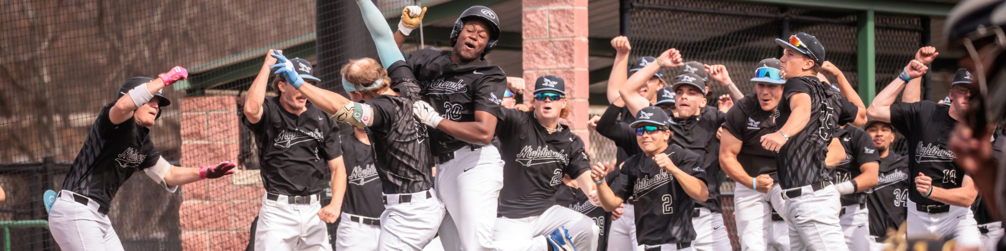 Baseball photo