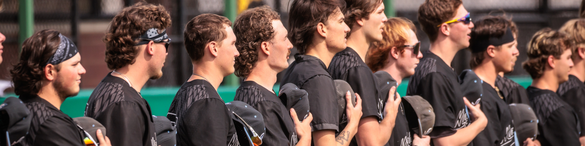 Baseball photo