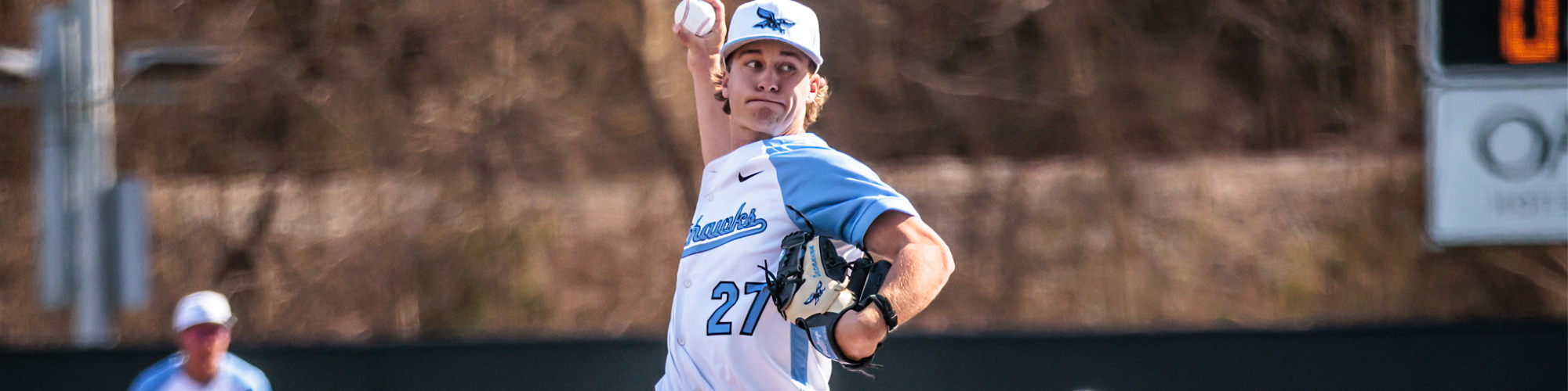 Baseball photo