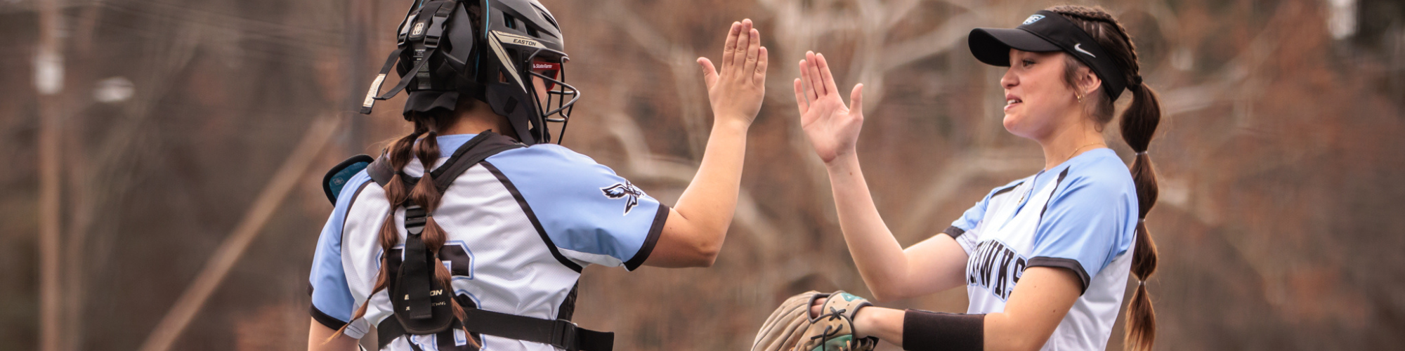 Softball photo